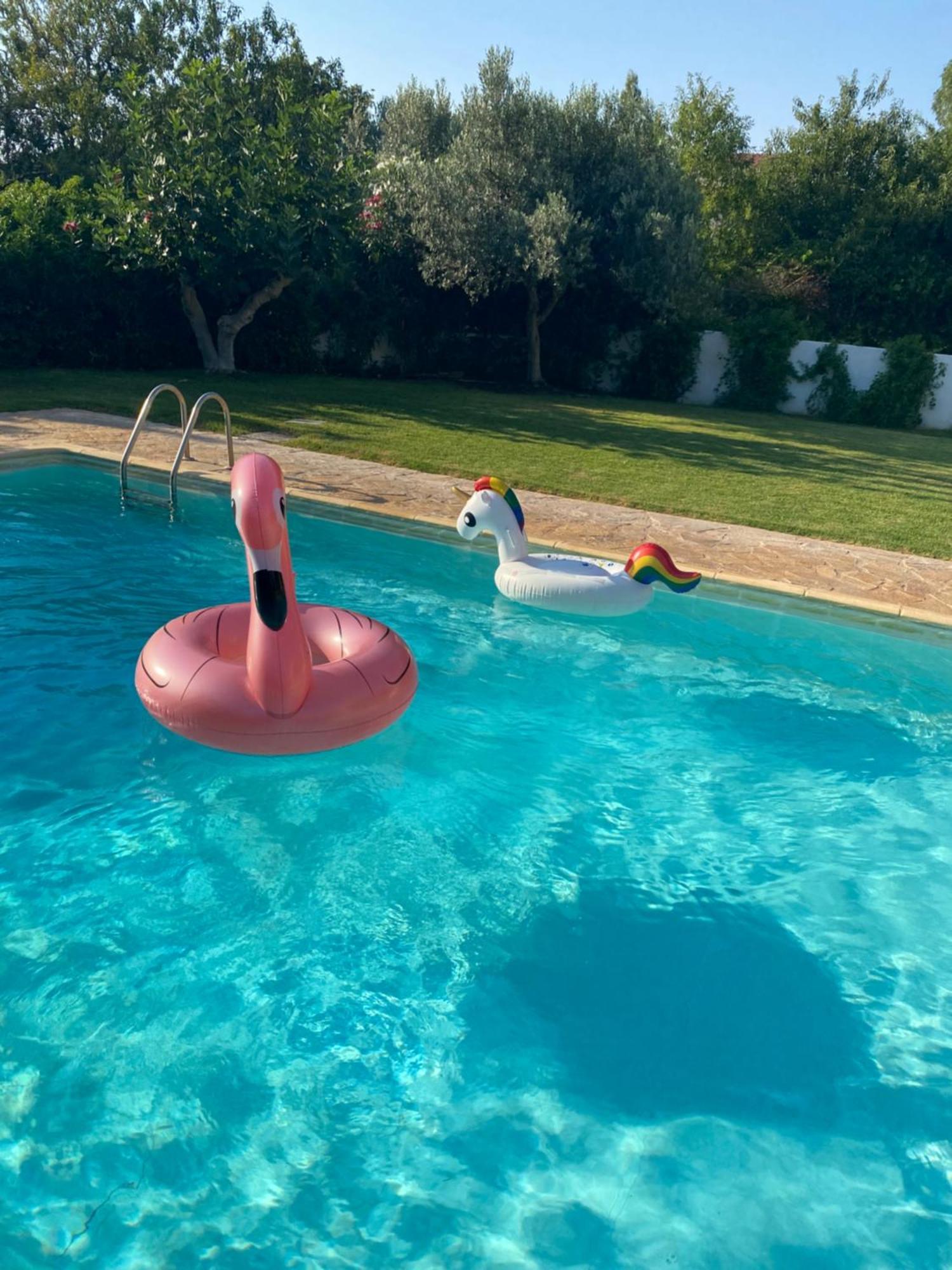 Relaxing Villa With Swimming Pool And Garden Άγιος Γεώργιος Εξωτερικό φωτογραφία