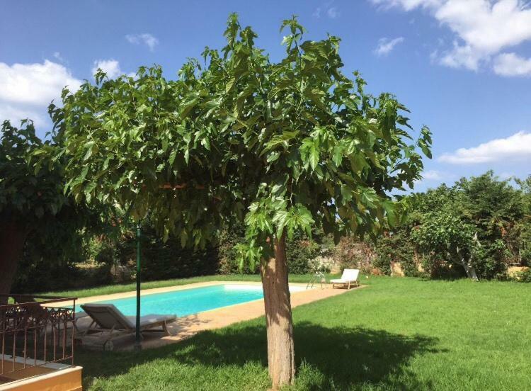 Relaxing Villa With Swimming Pool And Garden Άγιος Γεώργιος Εξωτερικό φωτογραφία