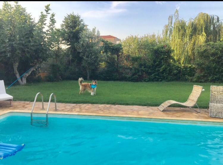 Relaxing Villa With Swimming Pool And Garden Άγιος Γεώργιος Εξωτερικό φωτογραφία